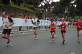 pino_0958
