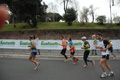 pino_0976