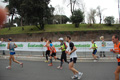 pino_0977