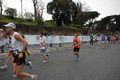 pino_0981