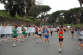 pino_0988