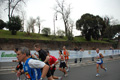 pino_0996