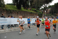 pino_1019