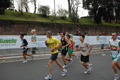 pino_1033