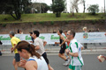 pino_1035