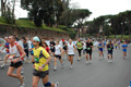 pino_1038