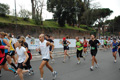 pino_1040