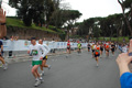 pino_1049