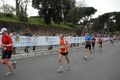 pino_1059