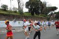 pino_1070
