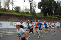 pino_1071