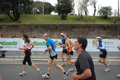 pino_1074
