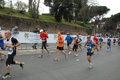 pino_1077