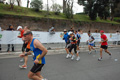 pino_1079