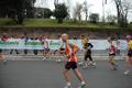 pino_1155