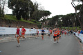 pino_1167