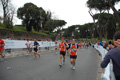 pino_1170