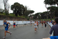 pino_1174