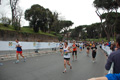 pino_1175