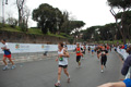 pino_1176