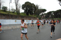 pino_1177