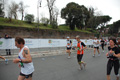 pino_1178