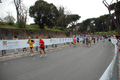 pino_1188