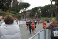 pino_1193