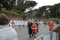 pino_1194