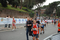 pino_1195