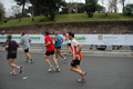 pino_1227