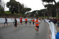 pino_1234