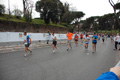 pino_1254