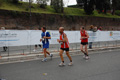 pino_1259