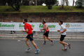 pino_1268