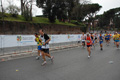 pino_1270