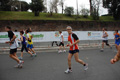 pino_1274