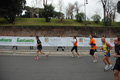 pino_1351
