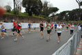 pino_1352
