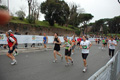 pino_1353