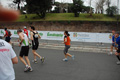 pino_1358