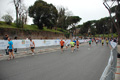 pino_1359