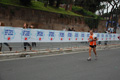 pino_1419