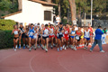 stafpat_3557