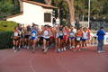 stafpat_3558