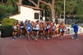 stafpat_3559