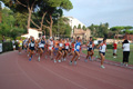 stafpat_3566