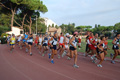 stafpat_3569