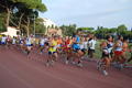 stafpat_3571