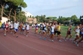 stafpat_3576
